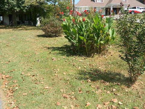 491 Lakeshore Dr, Burnside, KY 42519 photo 30
