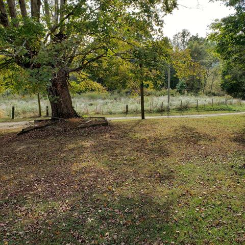 4220 Hwy 452, Eubank, KY 42567 photo 14
