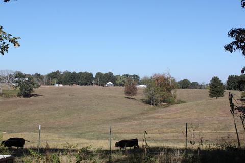 143 Daws Ridge Spur Rd, Nancy, KY 42544 photo 24