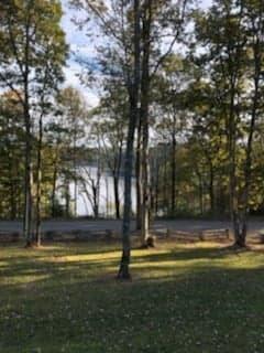2560 Pole Bridge Rd, Nancy, KY 42544 photo 30