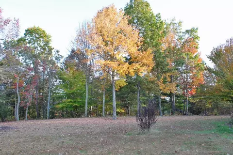 1660 Lum Strunk Rd, Strunk, KY 42649 photo 3