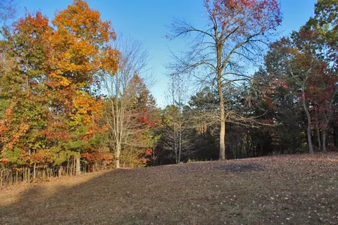 1660 Lum Strunk Rd, Strunk, KY 42649 photo 4