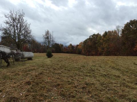 799 Mt Pleasant Rd, Strunk, KY 42649 photo 11
