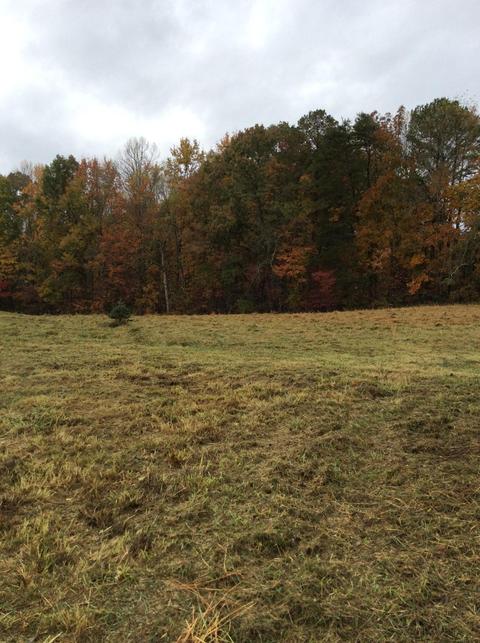 799 Mt Pleasant Rd, Strunk, KY 42649 photo 7