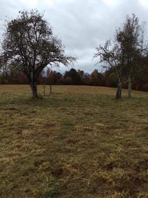 799 Mt Pleasant Rd, Strunk, KY 42649 photo 6