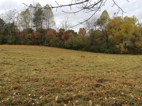 799 Mt Pleasant Rd, Strunk, KY 42649 photo 9