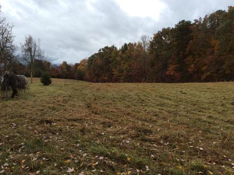 799 Mt Pleasant Rd, Strunk, KY 42649 photo 10