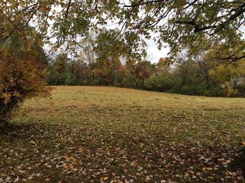 799 Mt Pleasant Rd, Strunk, KY 42649 photo 8