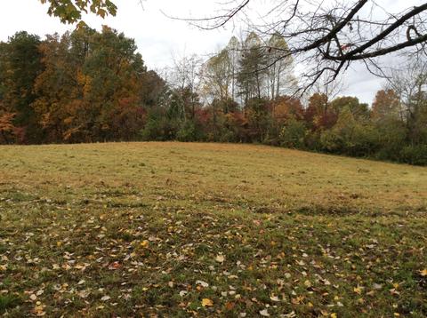 799 Mt Pleasant Rd, Strunk, KY 42649 photo 2