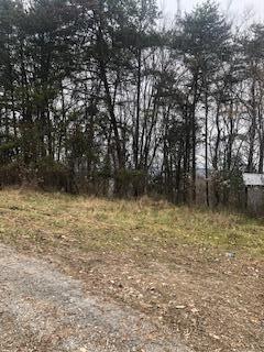 174 Old Keno Rd, Burnside, KY 42519 photo 3