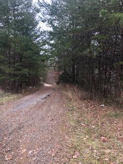 174 Old Keno Rd, Burnside, KY 42519 photo 8