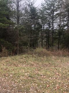 174 Old Keno Rd, Burnside, KY 42519 photo 1