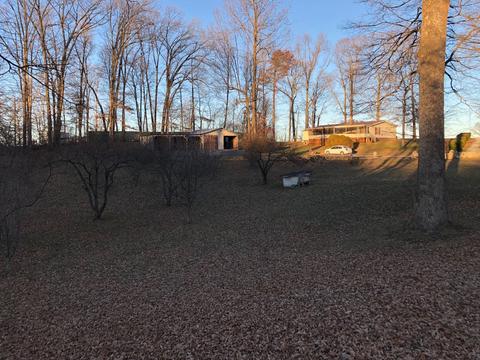 42 Alpha Loop, Albany, KY 42602 photo 13