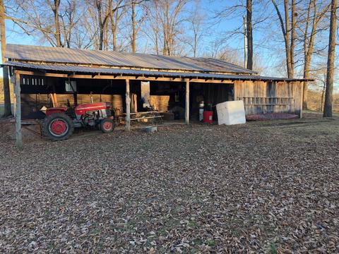 42 Alpha Loop, Albany, KY 42602 photo 39
