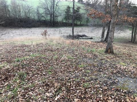 42 Alpha Loop, Albany, KY 42602 photo 8