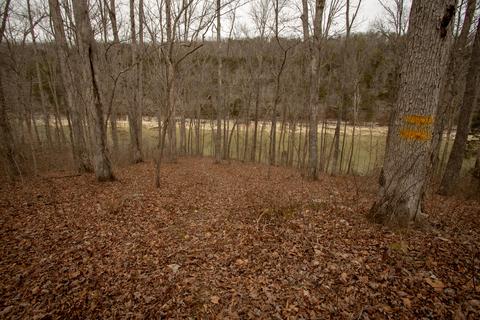 2668 Roberts Bend Rd, Burnside, KY 42519 photo 66