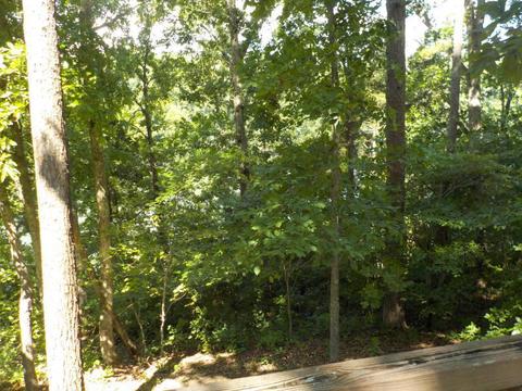 401 Lake Dr, Burnside, KY 42519 photo 5