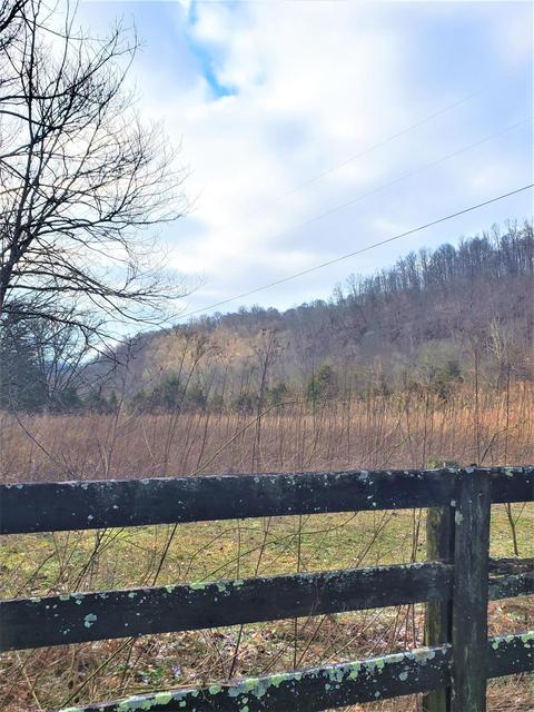 1666 Pointer Creek Rd, Science Hill, KY 42553 photo 4