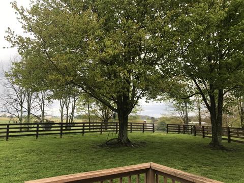 3810 E Hwy 452, Eubank, KY 42567 photo 8