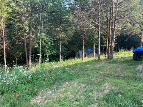 9625 Breeding Rd, Edmonton, KY 42129 photo 37