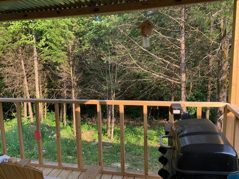9625 Breeding Rd, Edmonton, KY 42129 photo 33