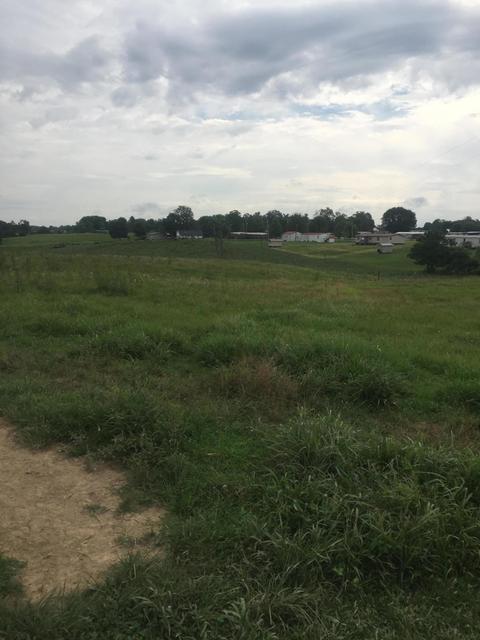 622 Floyd Switch Rd, Eubank, KY 42567 photo 5