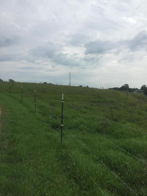 622 Floyd Switch Rd, Eubank, KY 42567 photo 16