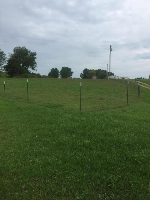 622 Floyd Switch Rd, Eubank, KY 42567 photo 4