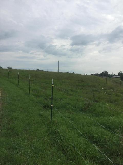 622 Floyd Switch Rd, Eubank, KY 42567 photo 3