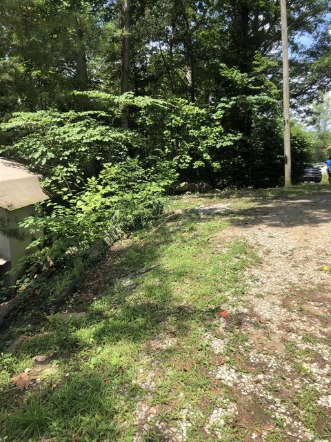 2805 Dixie Bend Rd, Burnside, KY 42519 photo 3