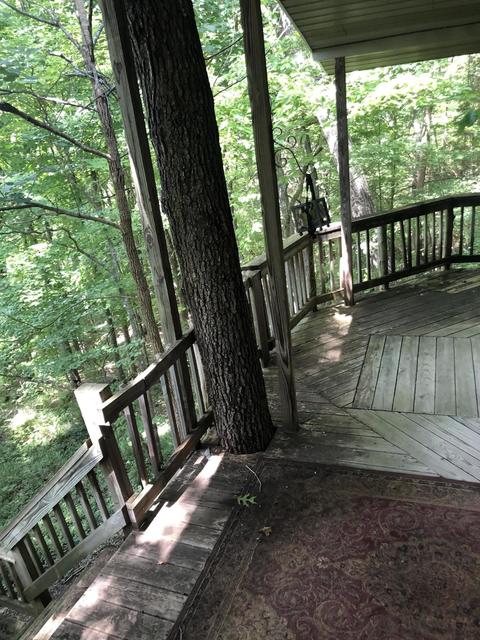 2805 Dixie Bend Rd, Burnside, KY 42519 photo 5