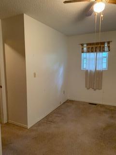 305 Tom Meadows Rd, Strunk, KY 42649 photo 33