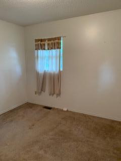 305 Tom Meadows Rd, Strunk, KY 42649 photo 28