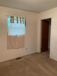 305 Tom Meadows Rd, Strunk, KY 42649 photo 27