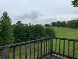 305 Tom Meadows Rd, Strunk, KY 42649 photo 18
