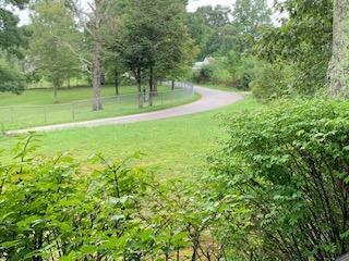 305 Tom Meadows Rd, Strunk, KY 42649 photo 35