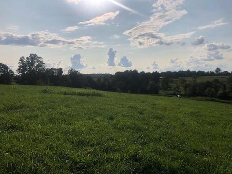 375 Floyd Rd, Somerset, KY 42503 photo 4