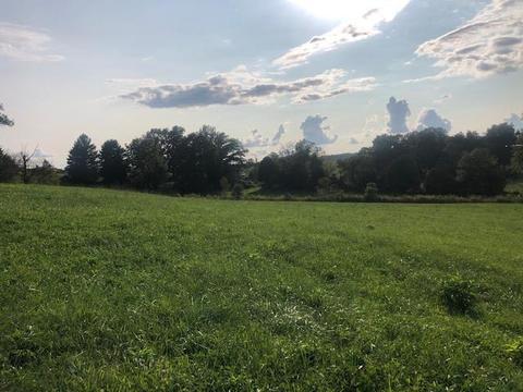 375 Floyd Rd, Somerset, KY 42503 photo 3