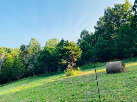 355 Mcfall Rd, Albany, KY 42602 photo 25
