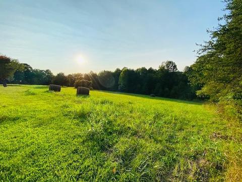 355 Mcfall Rd, Albany, KY 42602 photo 2