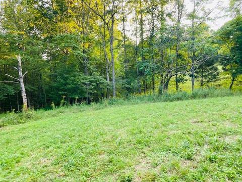 355 Mcfall Rd, Albany, KY 42602 photo 27