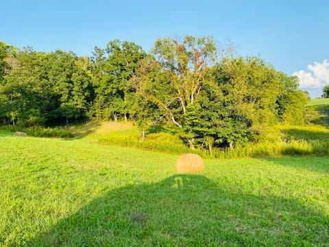 355 Mcfall Rd, Albany, KY 42602 photo 3