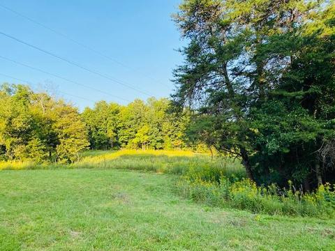 355 Mcfall Rd, Albany, KY 42602 photo 26