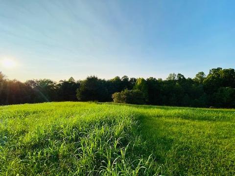 355 Mcfall Rd, Albany, KY 42602 photo 28