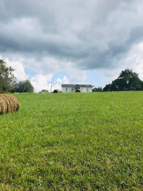 355 Mcfall Rd, Albany, KY 42602 photo 14