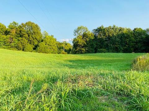 355 Mcfall Rd, Albany, KY 42602 photo 4