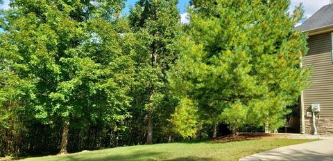 247 Clover Leaf Cir, Burnside, KY 42519 photo 30