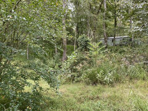 252 Fairview Ct, Burnside, KY 42519 photo 6