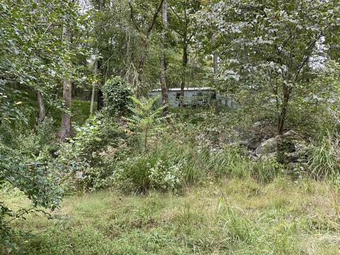252 Fairview Ct, Burnside, KY 42519 photo 5