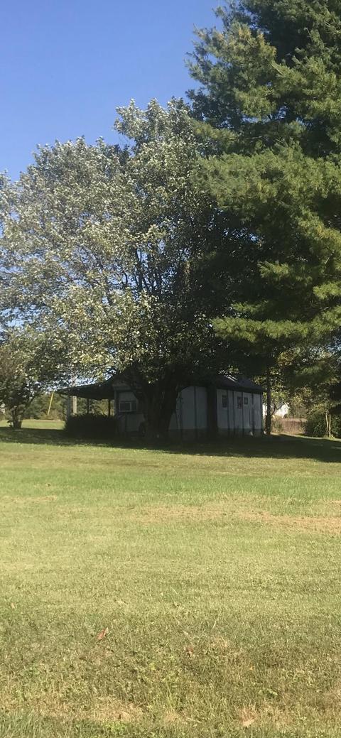 3715 Hickory Nut Rd, Nancy, KY 42544 photo 5